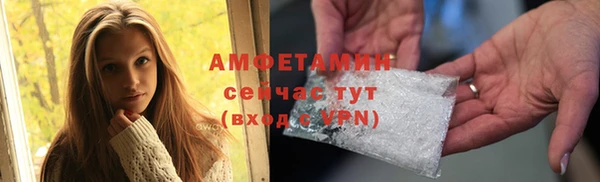 PSILOCYBIN Кстово