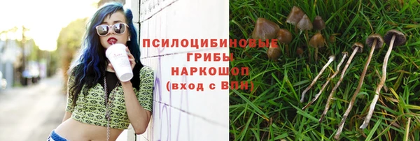 прущая мука Липки